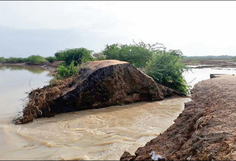 பலத்த மழை கண்மாய் கரை உடைந்து தண்ணீர் வீணாக வெளியேறியது