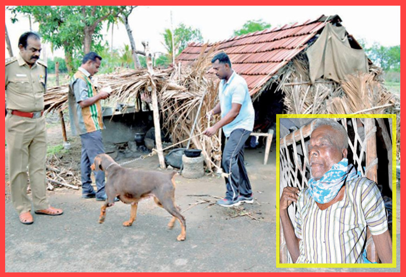 திண்டுக்கல் அருகே விவசாயியை கழுத்தை நெரித்து கொன்று ஆடுகள் திருட்டு