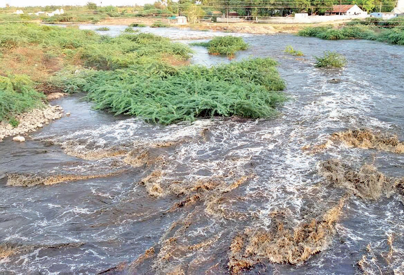 பலத்த மழையால் நொய்யல் ஆற்றில் சாய கழிவுகளை திறந்து விட்டதால் நிறம் மாறி சென்ற வெள்ளம்