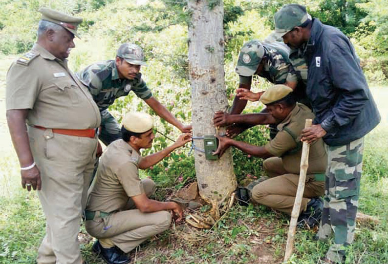 2 தொழிலாளர்களை கடித்து குதறிய சிறுத்தையை பிடிக்க கூண்டு, 4 இடங்களில் ரகசிய கேமரா