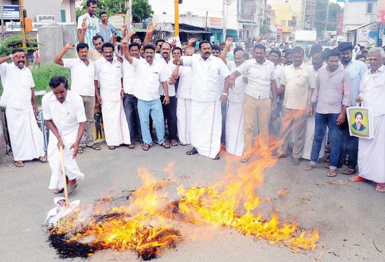 முதல்-அமைச்சர் எடப்பாடி பழனிசாமி உருவபொம்மை எரிப்பு டி.டி.வி. தினகரன் ஆதரவாளர்கள் கைது