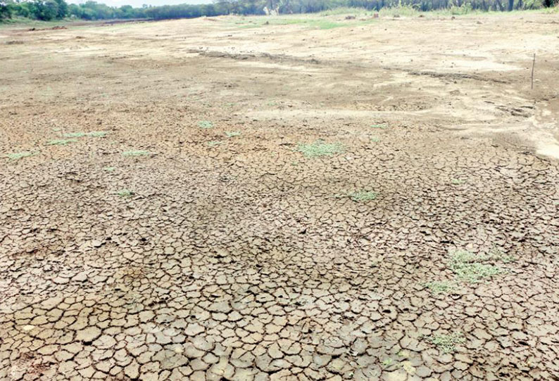 கோவையில் கனமழை கொட்டித் தீர்த்தாலும் குளங்கள் நிரம்பவில்லை