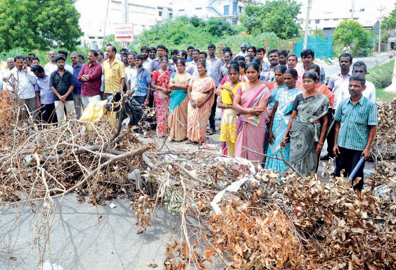 திருப்பூர் ஆண்டிபாளையம் பகுதியில் மயானத்திற்கு பாதை வசதி செய்து தரக்கோரி பொதுமக்கள் சாலை மறியல்