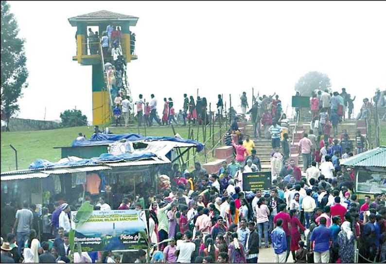 தொடர் விடுமுறை காரணமாக கொடைக்கானலில் குவிந்த சுற்றுலா பயணிகள்