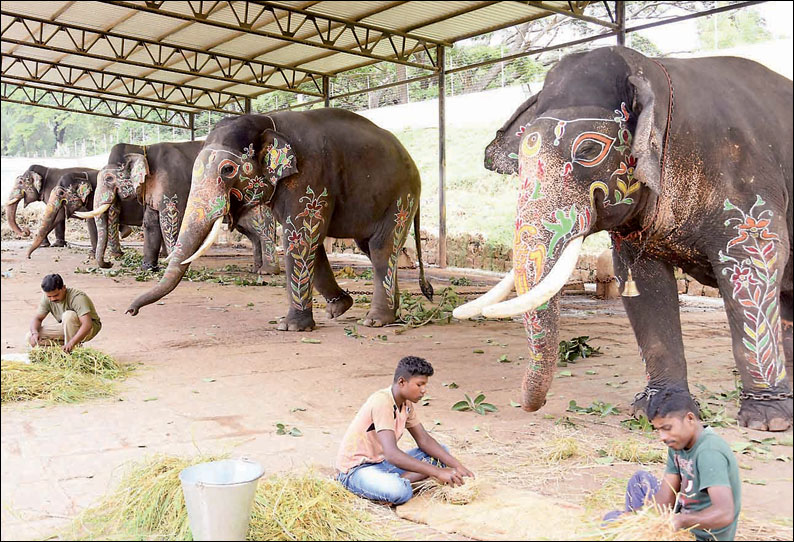 தசரா விழாவின்போது ஜம்பு சவாரி ஊர்வலத்தில் பங்கேற்ற அர்ஜூனா உள்பட 15 யானைகளுக்கும் வழியனுப்பு நிகழ்ச்சி