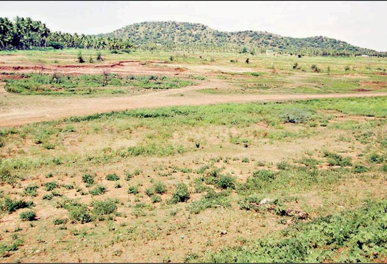 ஒட்டன்சத்திரம் அருகே வறண்டு கிடக்கும் பெருமாள்குளம்