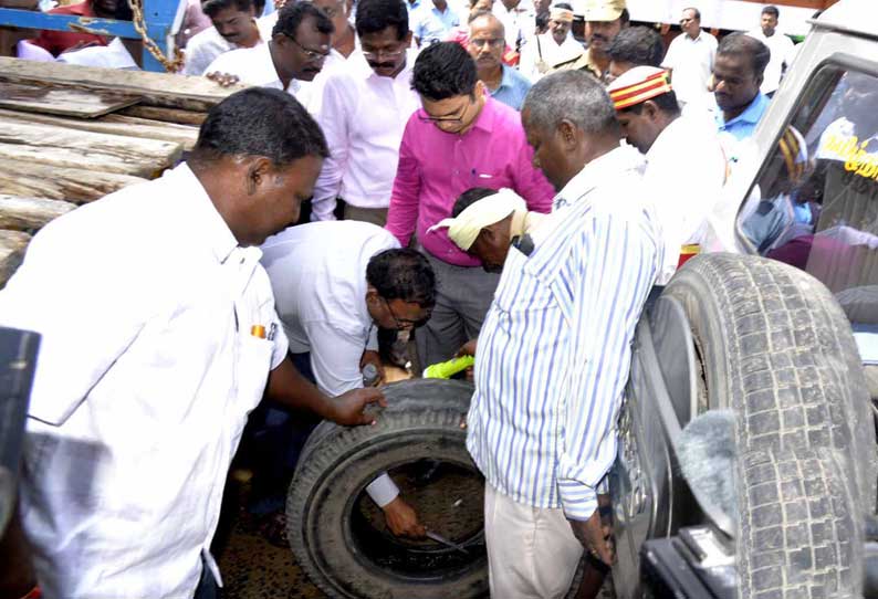 கடலூர் தாலுகா அலுவலகத்தில் கிடந்த டயரில் தேங்கிய நீரில் டெங்கு கொசு உற்பத்தி