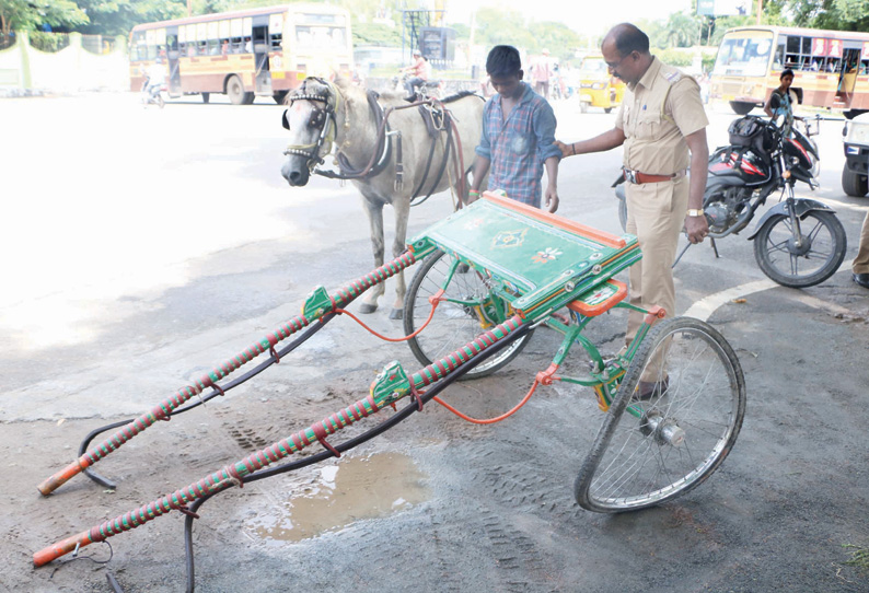 சேலம் கலெக்டர் அலுவலகம் அருகே சாலையில் மிரண்டு ஓடிய குதிரையால் பரபரப்பு