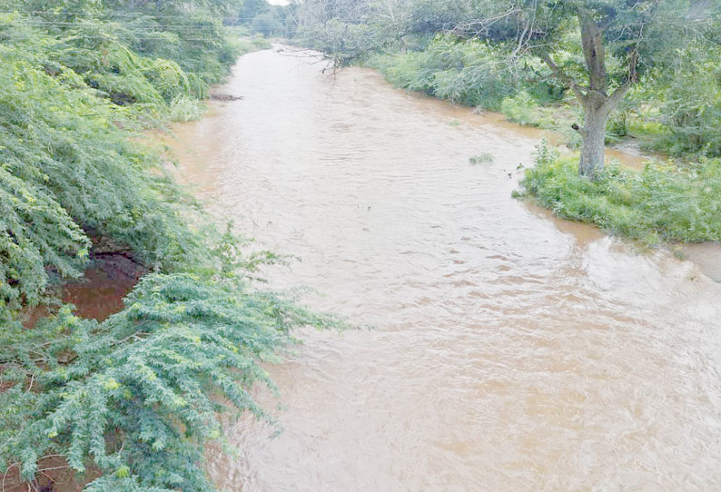 தொடர் மழையால் ஒகேனக்கல் சின்னாற்றில் வெள்ளப்பெருக்கு