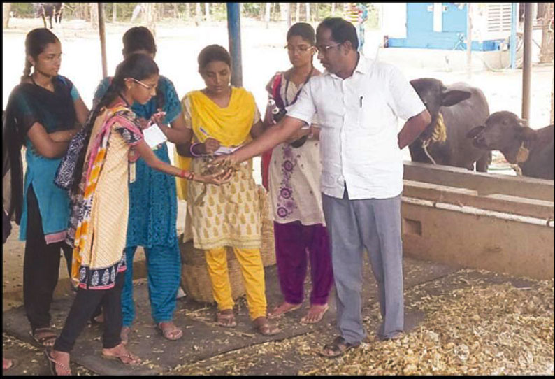 மாடுகள் பராமரிப்பு குறித்து வேளாண்மை கல்லூரி மாணவிகளுக்கு பயிற்சி