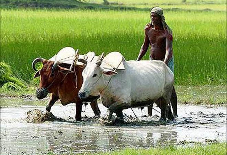 விவசாயிகளுக்கு எந்திரம், கருவிகள் மானிய விலையில் வழங்கப்படுகிறது கலெக்டர் கோவிந்தராஜ் தகவல்