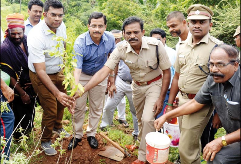 மரங்களையும், இயற்கை வளங்களையும் பாதுகாப்பது பொதுமக்களின் கடமையாகும் கலெக்டர் பேச்சு