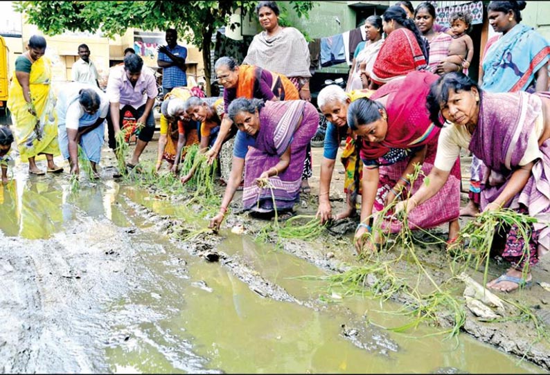 சாலையில் நாற்று நடும் போராட்டம்