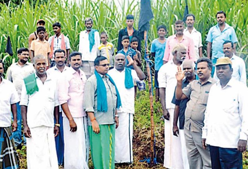 கரும்பு விவசாயிகள் கருப்பு கொடி ஏற்றி போராட்டம் நிலுவை தொகை வழங்கக்கோரி நடந்தது