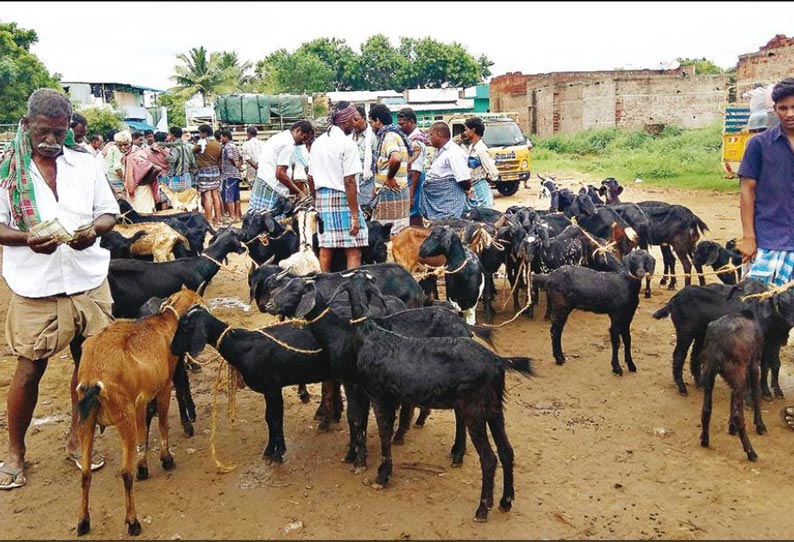 தீபாவளி பண்டிகையையொட்டி அய்யலூர் சந்தையில் ஆடுகள் விலை உயர்வு