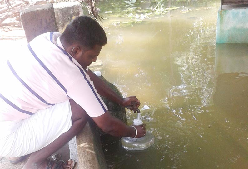 பனப்பாக்கம் அருகே அங்கன்வாடி மையம், வீடுகளில் தண்ணீர் புகுந்தது