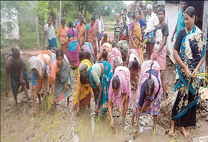 சேறும் சகதியுமான சாலையை சீரமைக்க கோரி கிராம மக்கள் நாற்று நட்டு போராட்டம்