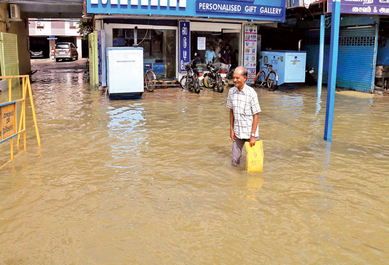 நெல்லையில், வீடுகளுக்குள் புகுந்த மழை வெள்ளம் பாளையங்கோட்டையில் 134 மில்லி மீட்டர் மழை கொட்டி தீர்த்தது