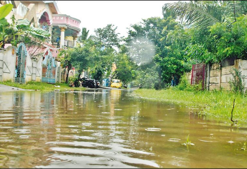 திருவாரூரில் பலத்த மழை குடியிருப்பு பகுதிகளில் தண்ணீர் சூழ்ந்ததால் பொதுமக்கள் அவதி