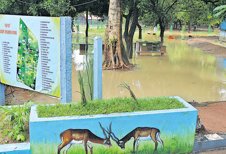 கனமழையால் கிண்டி சிறுவர் பூங்காவை வெள்ளம் சூழ்ந்தது