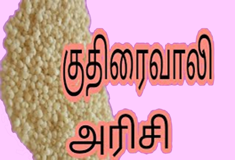 குதிரைவாலி அரிசி விலை கடும் வீழ்ச்சி அரசு கொள்முதல் மையம் அமைக்க விவசாயிகள் வலியுறுத்தல்