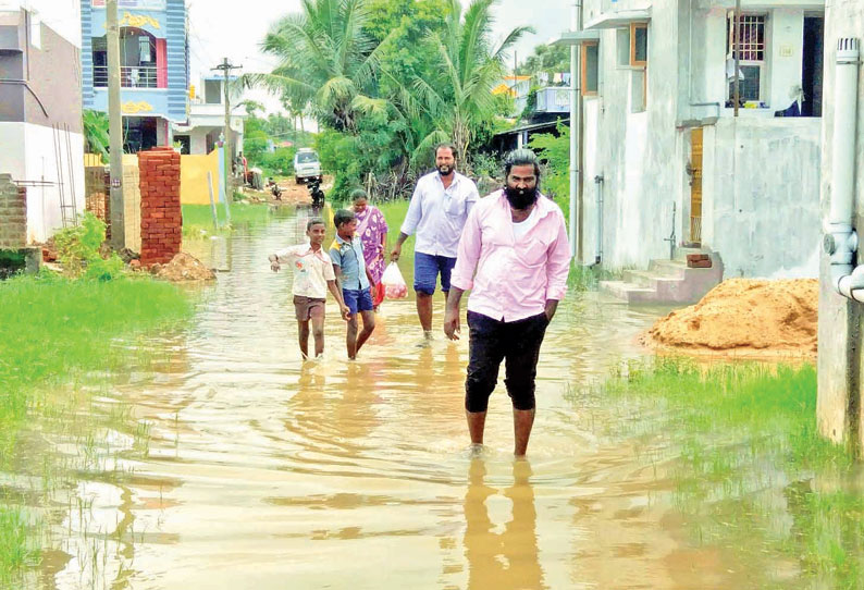 தாமரைபாக்கம் ஊராட்சியில் 250 வீடுகளை மழைநீர் சூழ்ந்தது