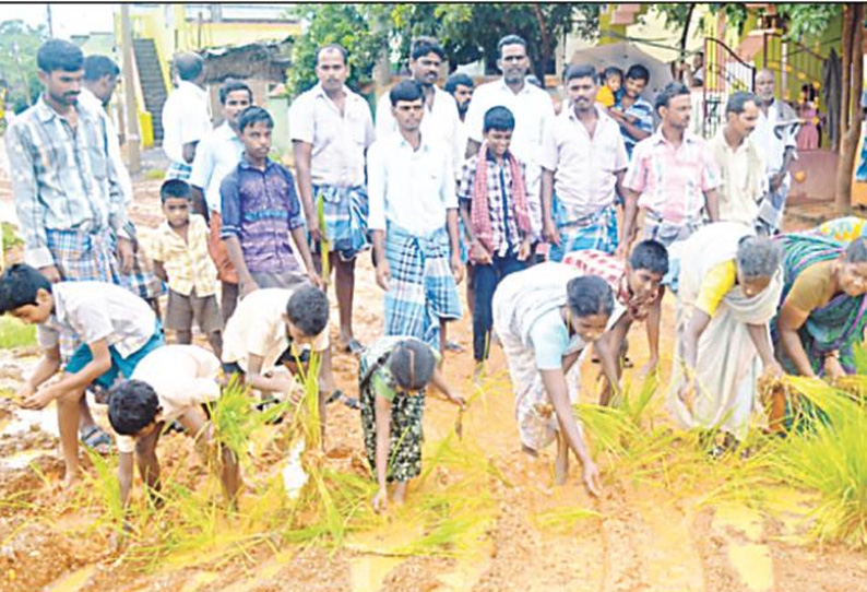 சாலையை சீரமைக்க கோரி கிராம மக்கள் நாற்று நட்டு போராட்டம்