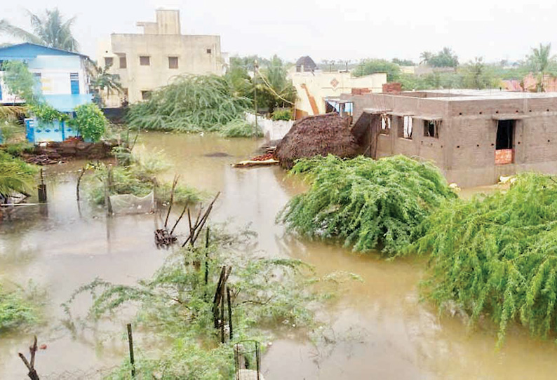 தஞ்சை மாவட்டத்தில் மழை நீடிப்பு கும்பகோணத்தில் அதிகபட்சமாக 60 மி.மீ. பதிவானது