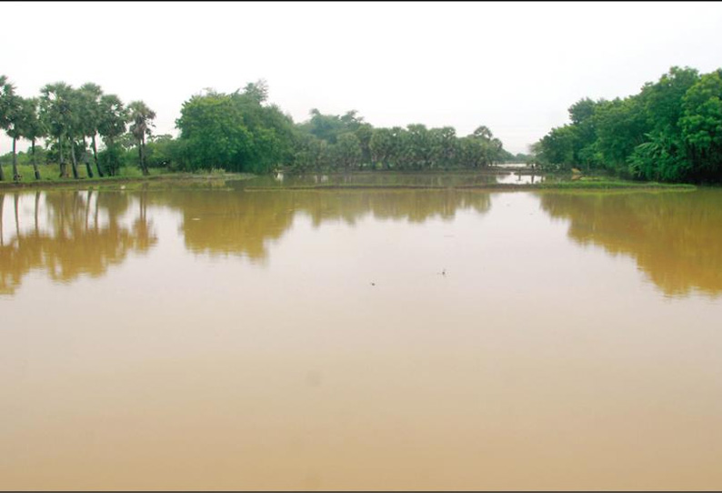 திருவாரூர் மாவட்டத்தில் கன மழையால் 40 ஆயிரம் ஏக்கர் நெற்பயிர்கள் தண்ணீரில் மூழ்கின