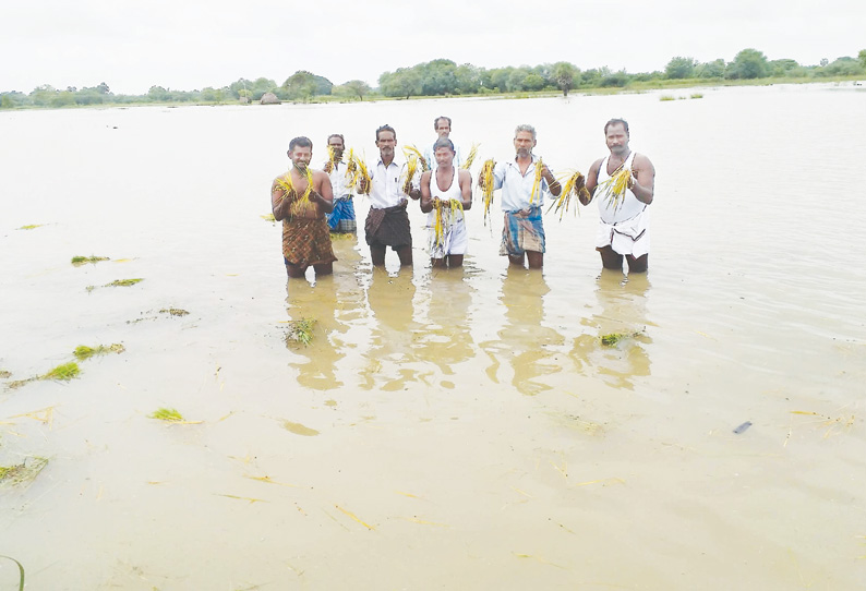 வாய்க்கால்களில் உடைப்பு: 31 ஆயிரத்து 500 ஏக்கர் நெற்பயிர்கள் மழைநீரில் மூழ்கின விவசாயிகள் வேதனை