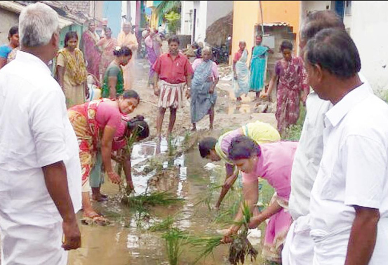 சிறுபாக்கம் அருகே சேறும் சகதியுமான சாலையில் நாற்று நட்டு பொதுமக்கள் போராட்டம்