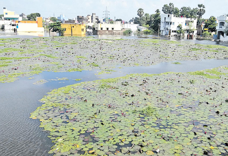 மாங்காட்டில் மழை விட்டும் வெள்ளம் சூழ்ந்து காணப்படும் வீடுகள்