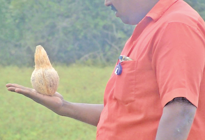 நிலத்தடி நீர்மட்டம் காண உதவும்    பழங்கால முறைகள்