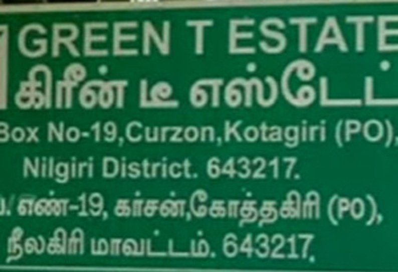 கிரீன் டீ எஸ்டேட்டில் 800 தொழிலாளர்கள் மூலம் ரூ.16 கோடி கருப்பு பணம் மாற்றமா?