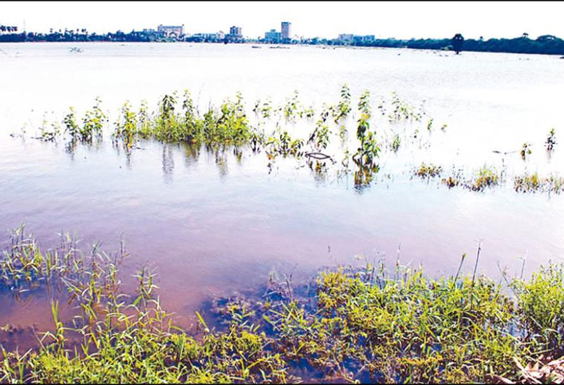 கன மழையால் தண்ணீர்வரத்து அதிகரித்து பாகூர் பகுதியில் மேலும் 4 ஏரிகள் நிரம்பின