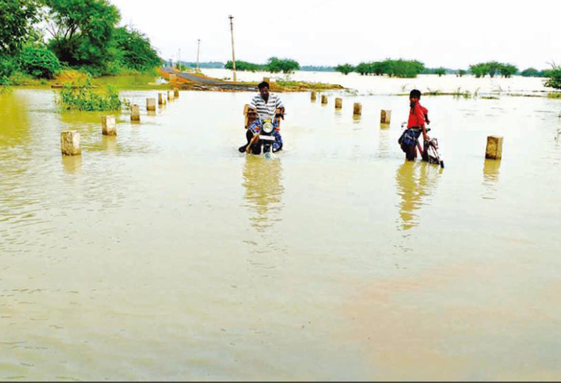 பலத்த மழையால் நாகை மாவட்டத்தில் குடியிருப்புகளை தண்ணீர் சூழ்ந்தது