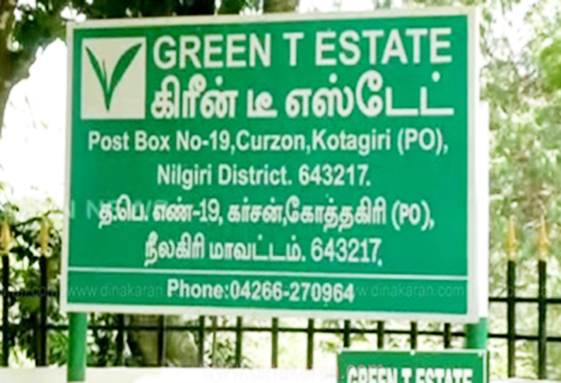 சசிகலாவுக்கு பினாமி பெயரில் சொத்துகள் உள்ளதா? ‘கிரீன் டீ’ எஸ்டேட்டில் வருமான வரித்துறை அதிகாரிகள் சோதனை