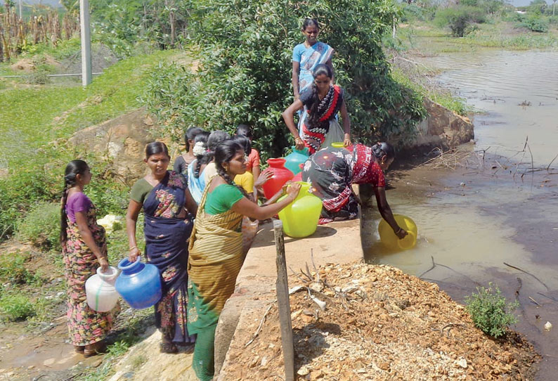 களக்காடு அருகே குளத்து தண்ணீரை பருகும் கிராம மக்கள்