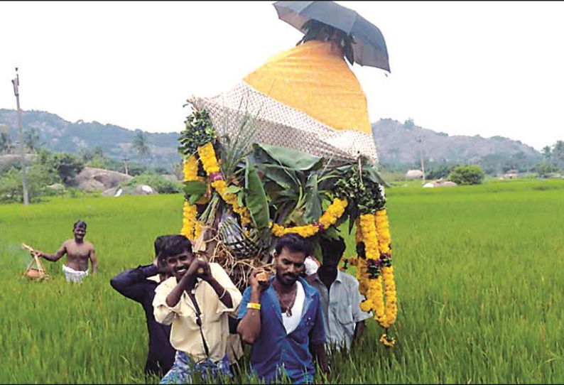 செஞ்சி அருகே சுடுகாட்டுக்கு பாதை வசதி இல்லாததால் இறந்தவரின் உடலை வயல்வெளி பகுதி வழியாக உறவினர்கள் எடுத்து செல்லும் அவலம்