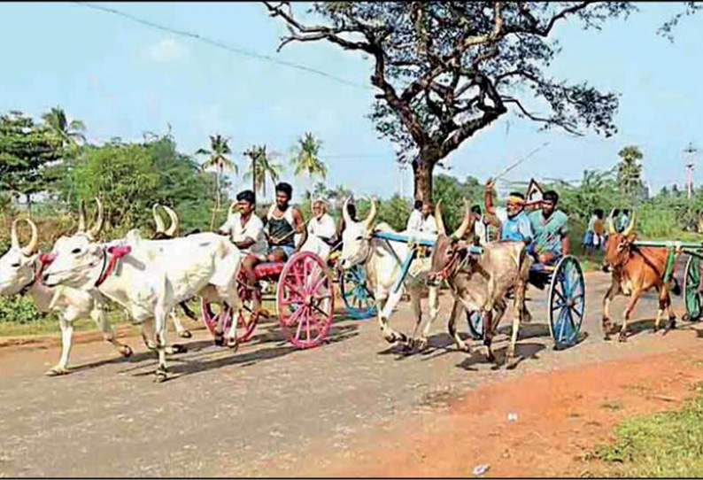 மேலூர் அருகே மாட்டு வண்டி பந்தயம்