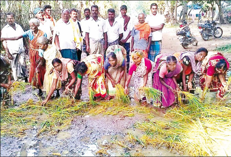 சேதமடைந்த சாலையில் நாற்று நட்டு மாதர் சங்கத்தினர் நூதன போராட்டம்