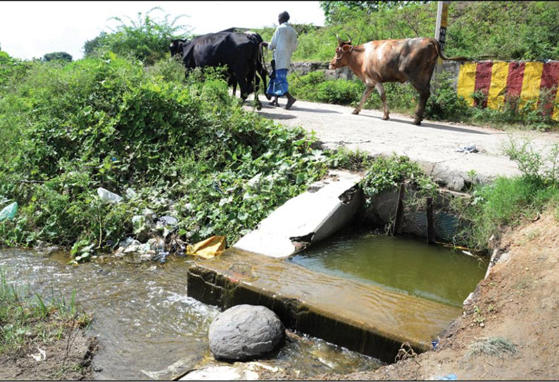 வேலூர் மாவட்டத்தில் தொடர் மழையிலும் வறண்டு கிடக்கும் 239 ஏரிகள்