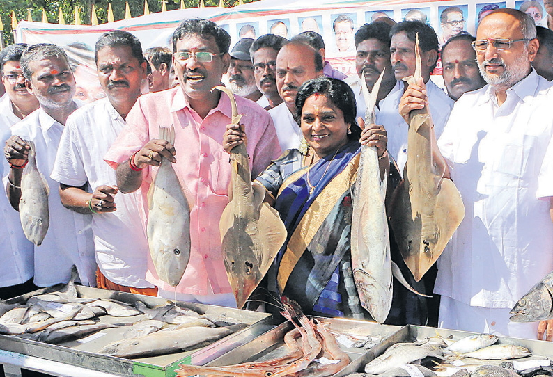 ‘கீழே விழுந்தால்தான் கையை ஊன்றவேண்டும், நாங்கள் நின்றுகொண்டிருக்கிறோம்’ மு.க.ஸ்டாலினுக்கு, டாக்டர் தமிழிசை சவுந்தரராஜன் பதில்