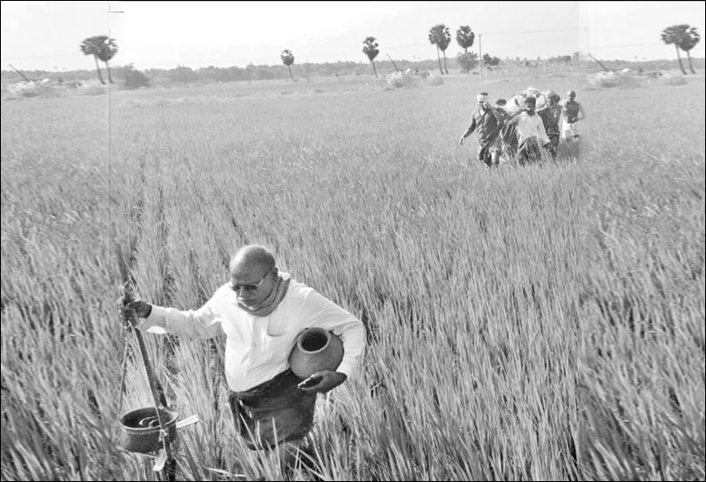 நீடாமங்கலம் அருகே பிணத்தை சுமந்துகொண்டு வயலில் இறங்கி சென்ற உறவினர்கள்