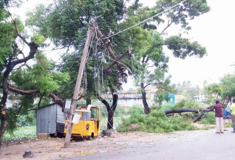 தூத்துக்குடி மாவட்டத்தில் பலத்த காற்றுடன் கனமழை 60 மின்கம்பங்கள் சாய்ந்தன