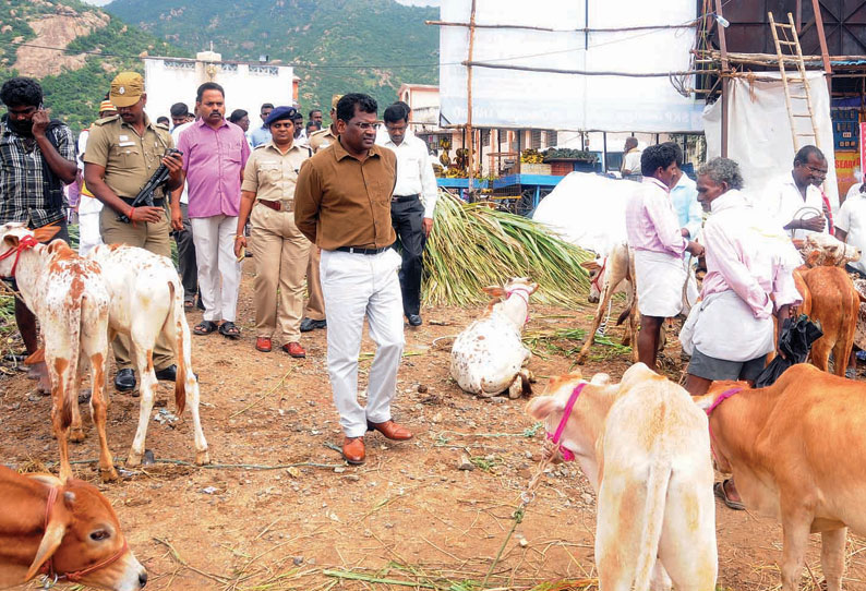 கிரிவலப் பாதையில் உள்ள மாட்டு சந்தையை கலெக்டர் ஆய்வு