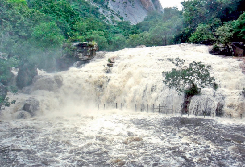 திருப்பூர் மாவட்டத்தில் மழை: பஞ்சலிங்க அருவியில் காட்டாற்று வெள்ளம்