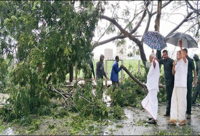 சேதமடைந்த பகுதிகளை மத்திய மந்திரி பொன்.ராதாகிருஷ்ணன் ஆய்வு