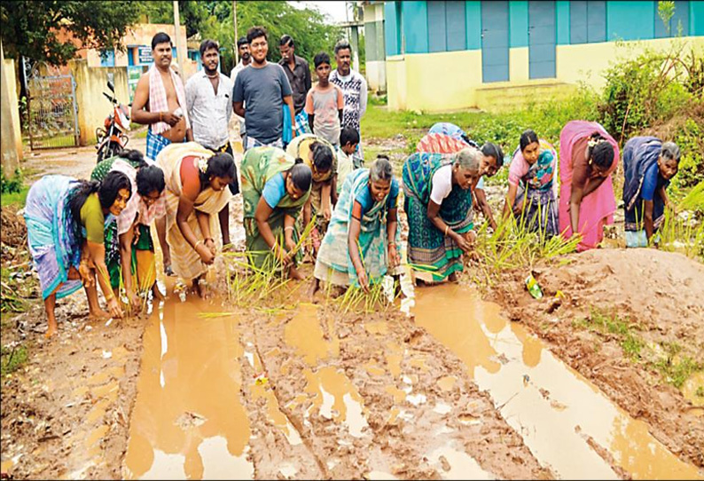 விருத்தாசலம் அருகே சேறும் சகதியுமான சாலையில் நாற்று நட்டு கிராமத்து மக்கள் போராட்டம்