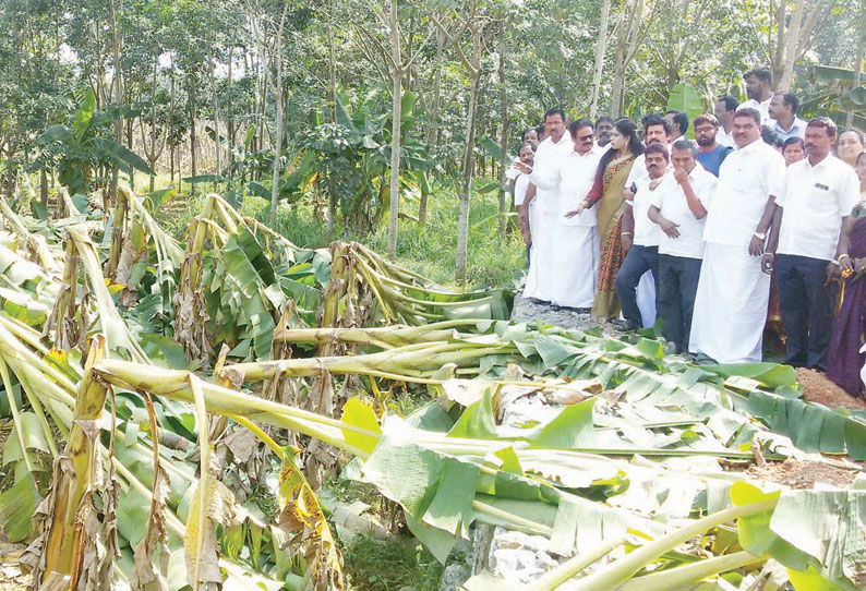 குமரி மாவட்டத்தில் நிவாரண பணிகளுக்கு மத்திய அரசு ரூ.500 கோடி வழங்க வேண்டும் திருநாவுக்கரசர் பேட்டி